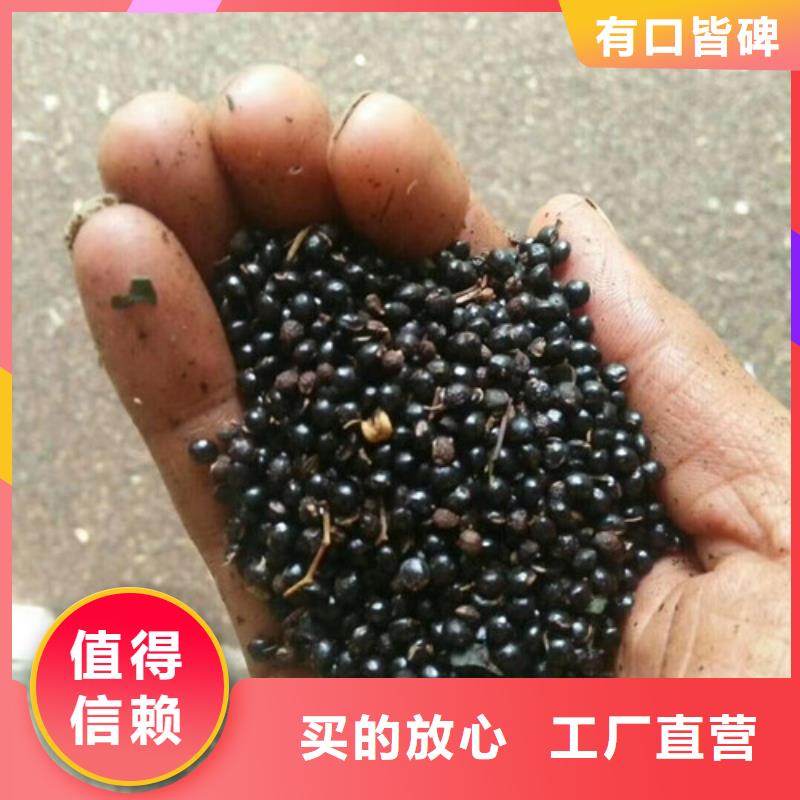 【花椒苗】桃树苗用好材做好产品