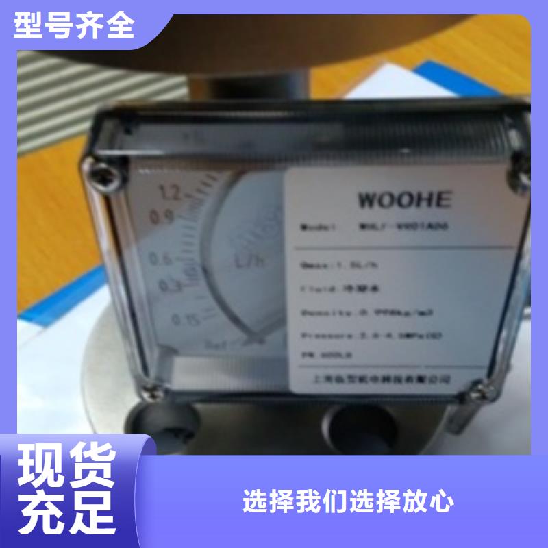 金属浮子流量计【吹扫装置】选择大厂家省事省心