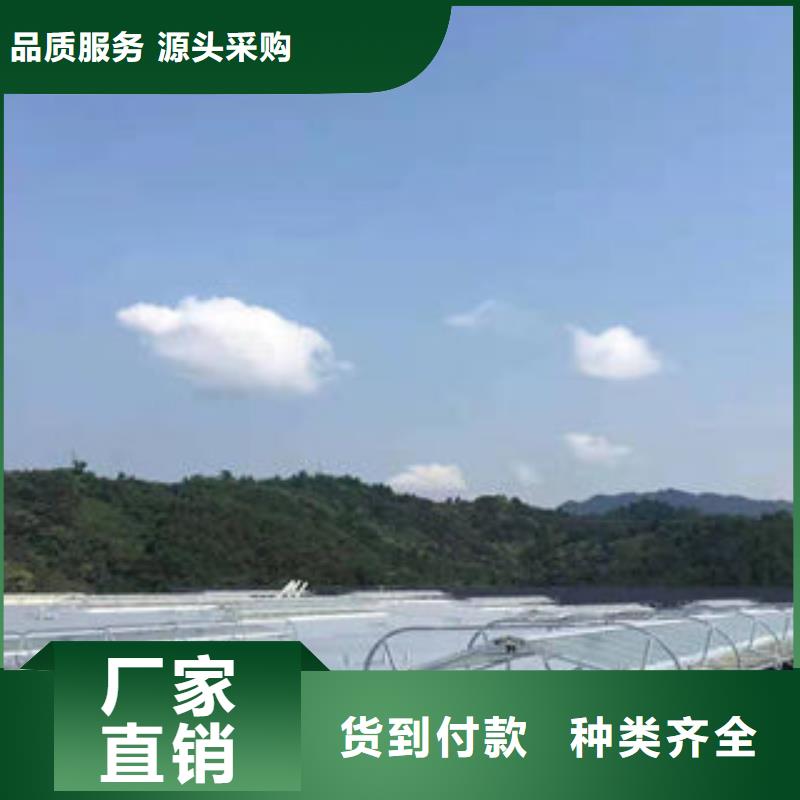 电动排烟窗售后完善
