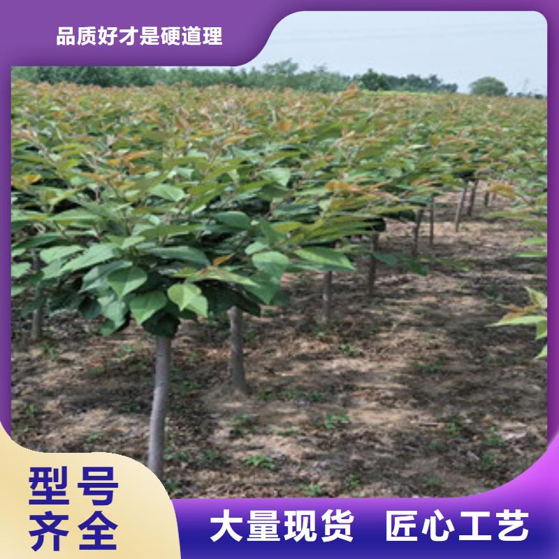 【樱花】碧桃对质量负责