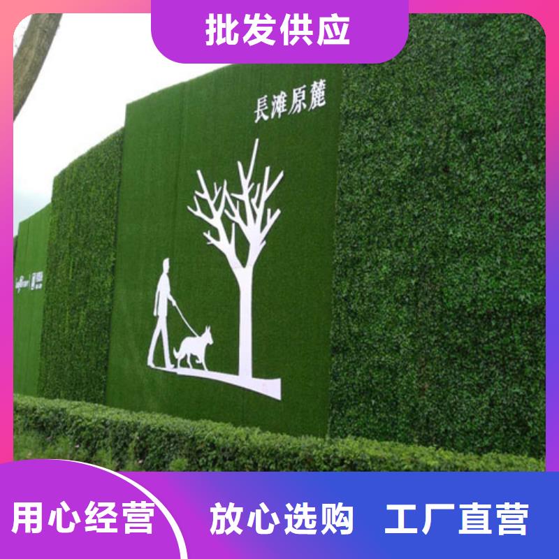 围挡草坪_假草皮围挡定金锁价