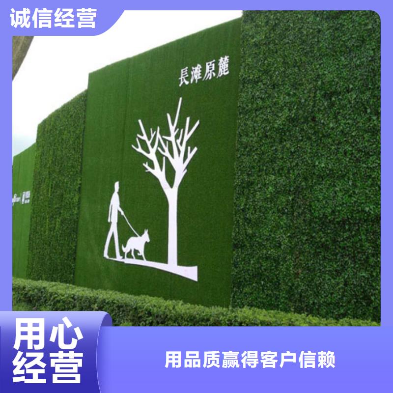 围挡草坪-人造草坪围挡库存量大