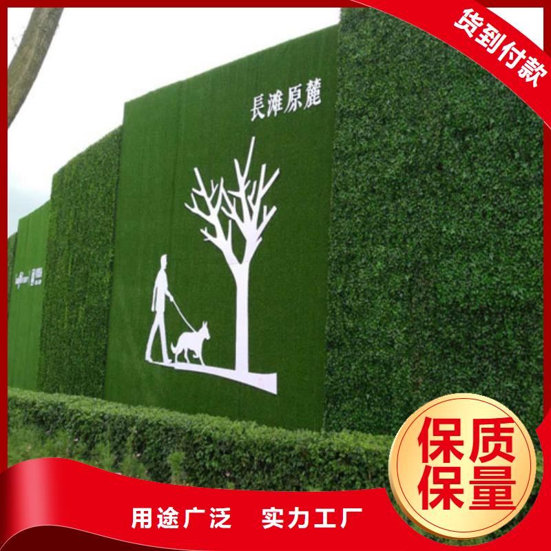 围挡草坪人工草坪围挡厂家规格全