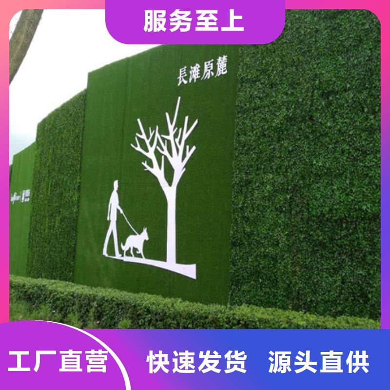 草坪围挡人造草坪围挡随心所欲定制