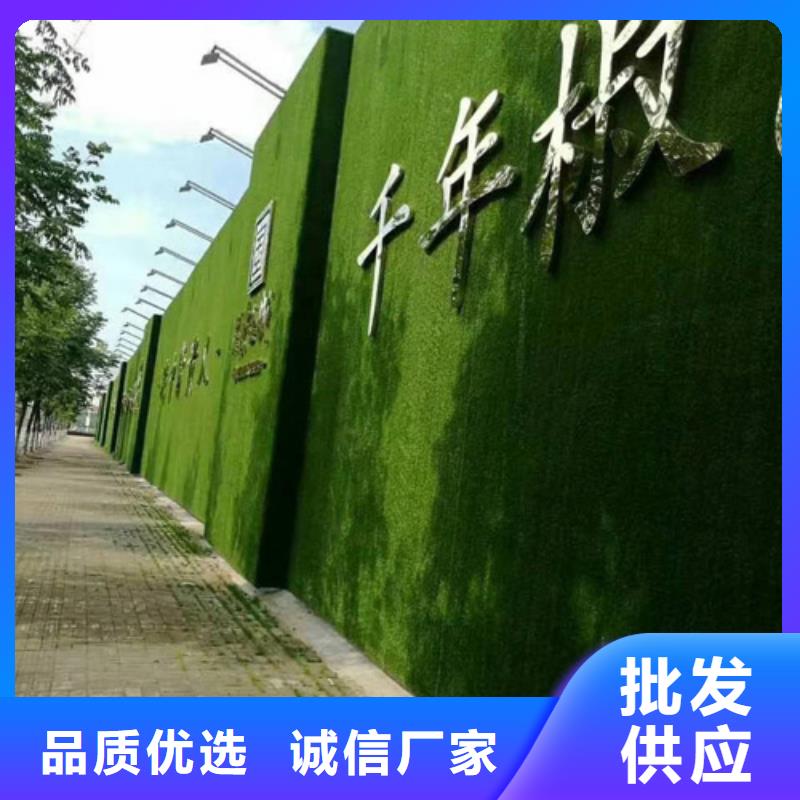 草坪围挡人工草坪围挡支持定制