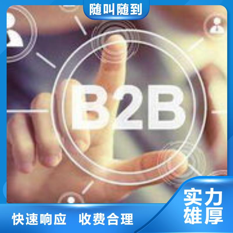 马云网络b2b平台销售专业公司