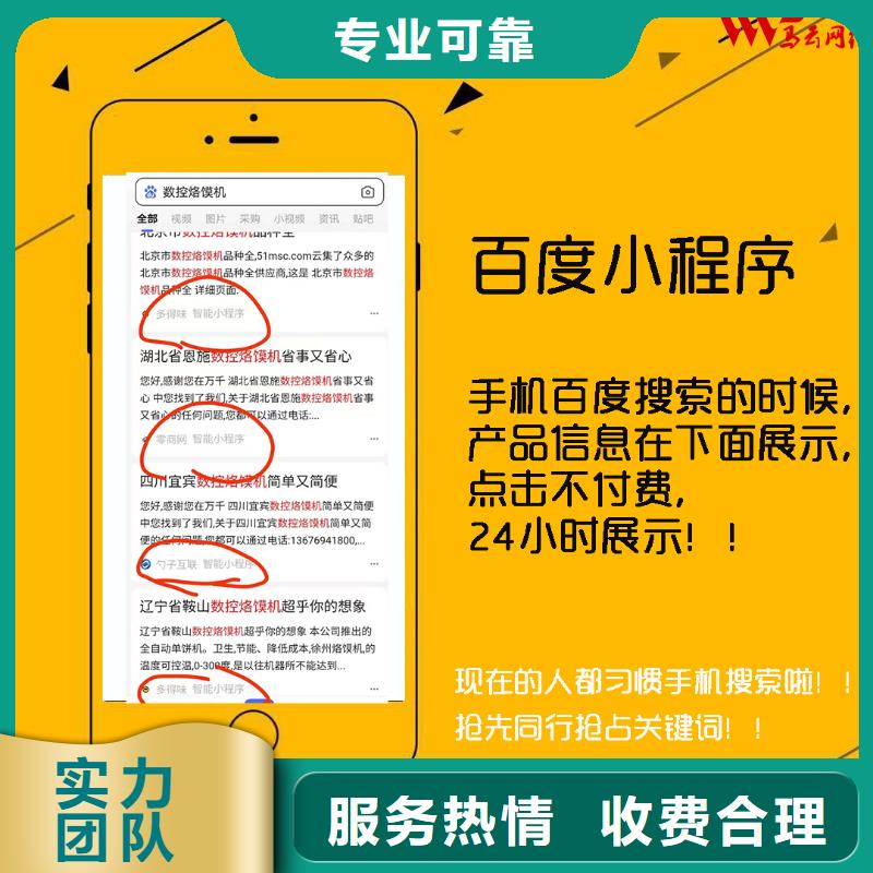 手机百度【网络公司】专业可靠