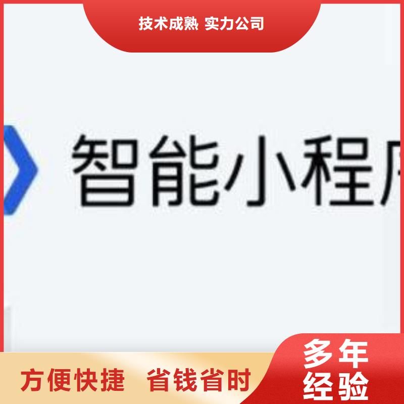 手机百度网络公司实力强有保证