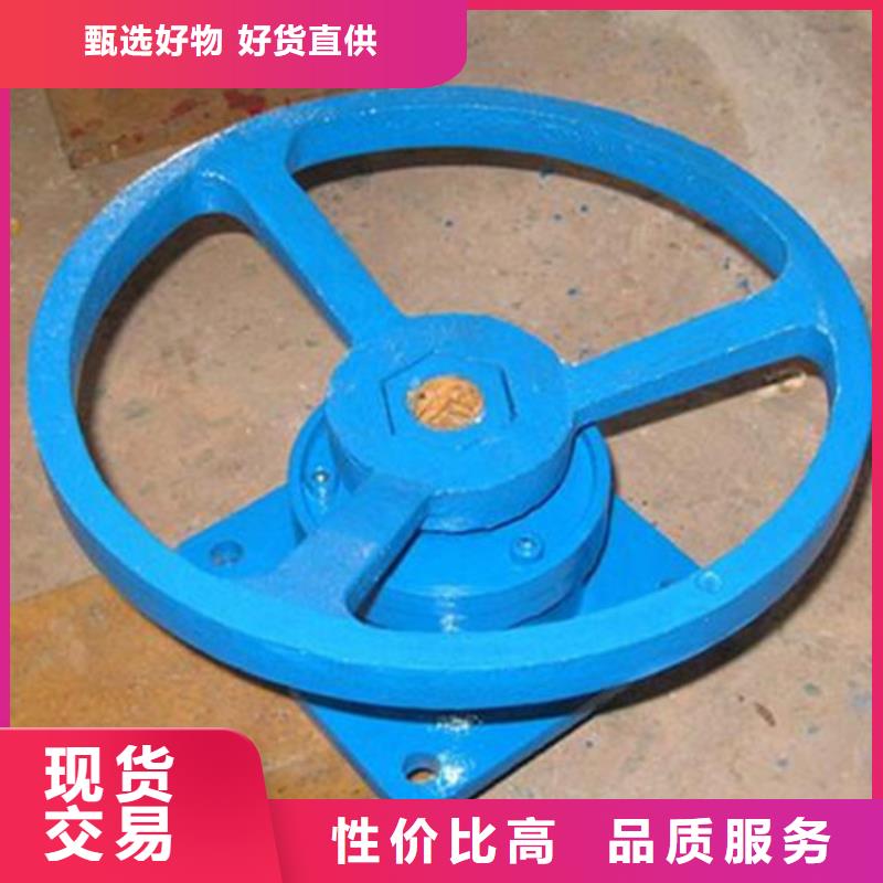 启闭机,钢坝闸门质优价廉
