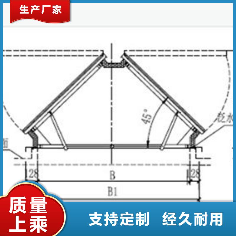 一字型天窗,电动启闭式天窗定制定做