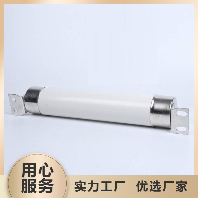 高压熔断器XRNT-12KV熔断器可定制