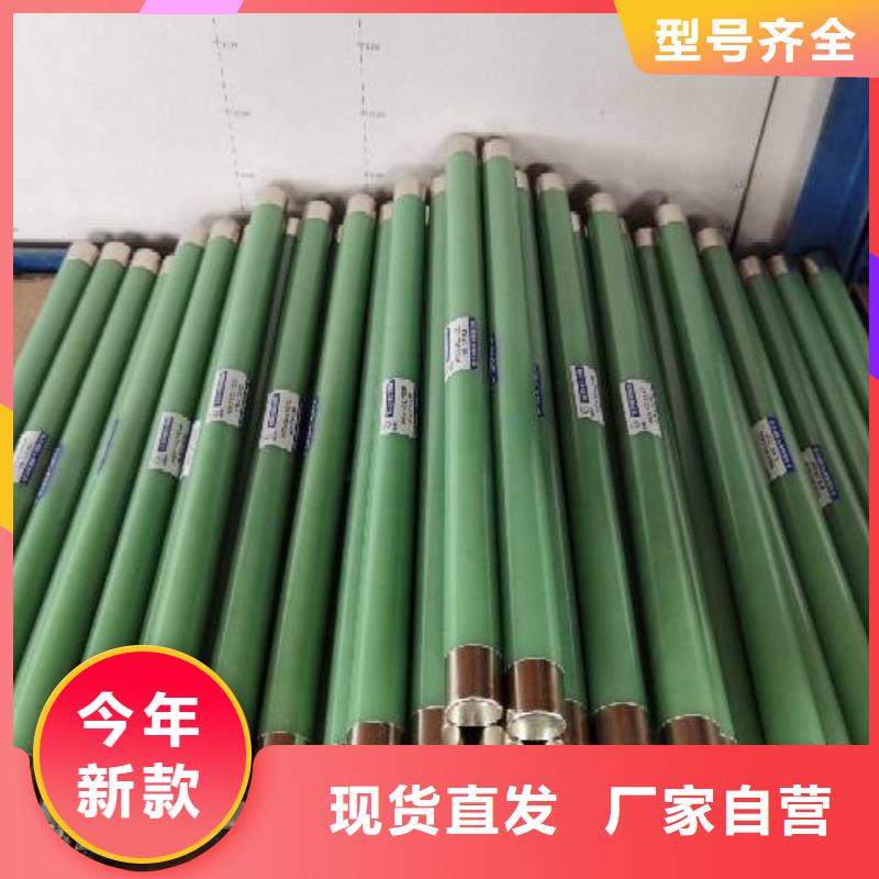 高压熔断器XRNP-10KV高压限流熔断器细节严格凸显品质