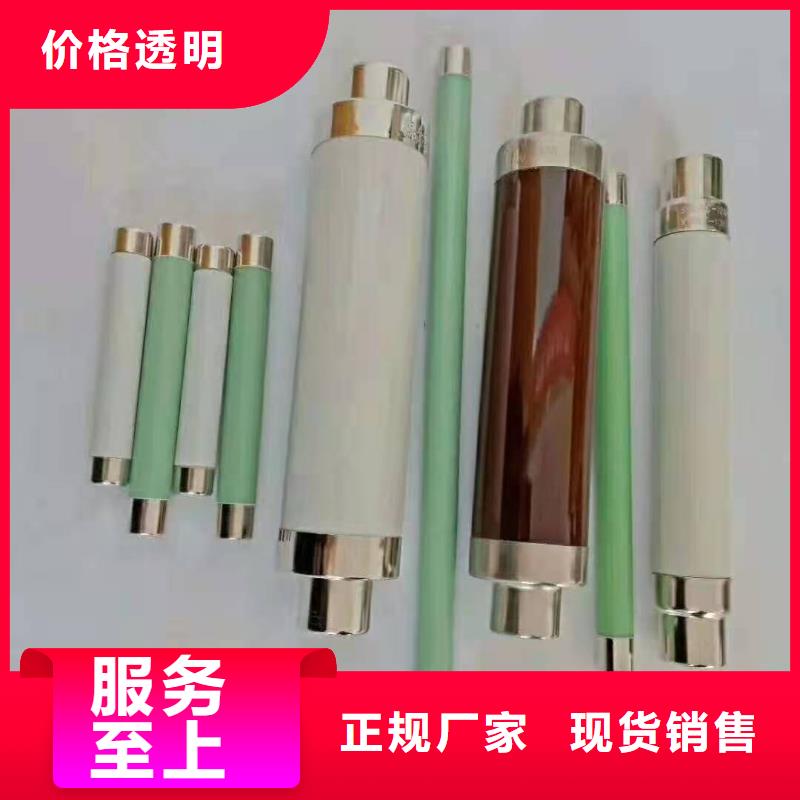 高压熔断器-【XRNP-10KV高压限流熔断器】品质过硬