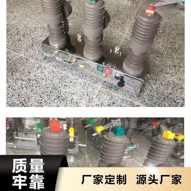 真空断路器XRNP-10KV高压限流熔断器专心专注专业