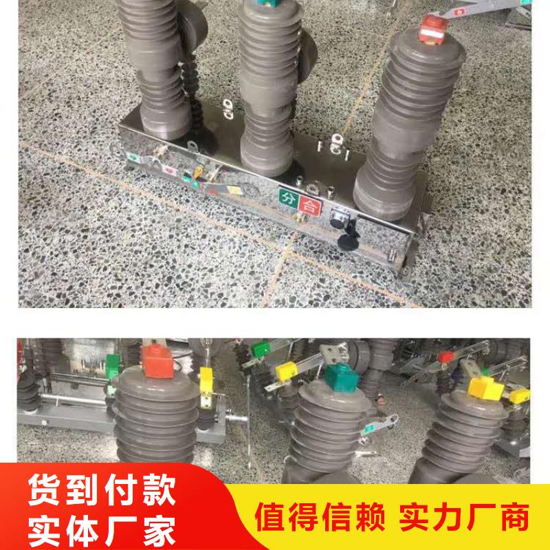 真空断路器_高压氧化锌避雷器现货销售