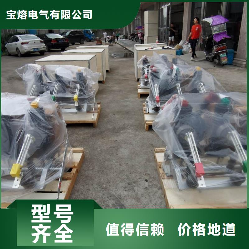 真空断路器高压负荷开关敢与同行比服务