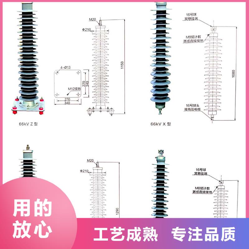 氧化锌避雷器户内高压真空断路器精益求精