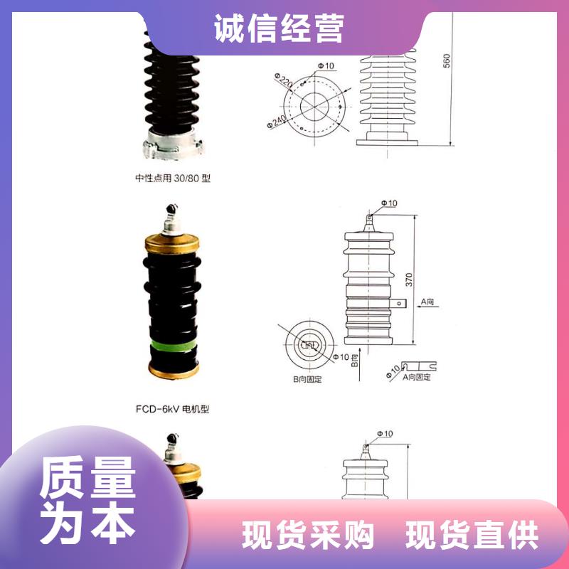 氧化锌避雷器高压限流熔断器可零售可批发