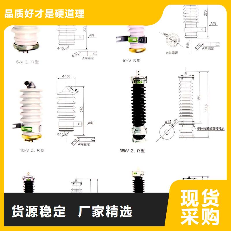 氧化锌避雷器XRNP-10KV高压限流熔断器精工打造