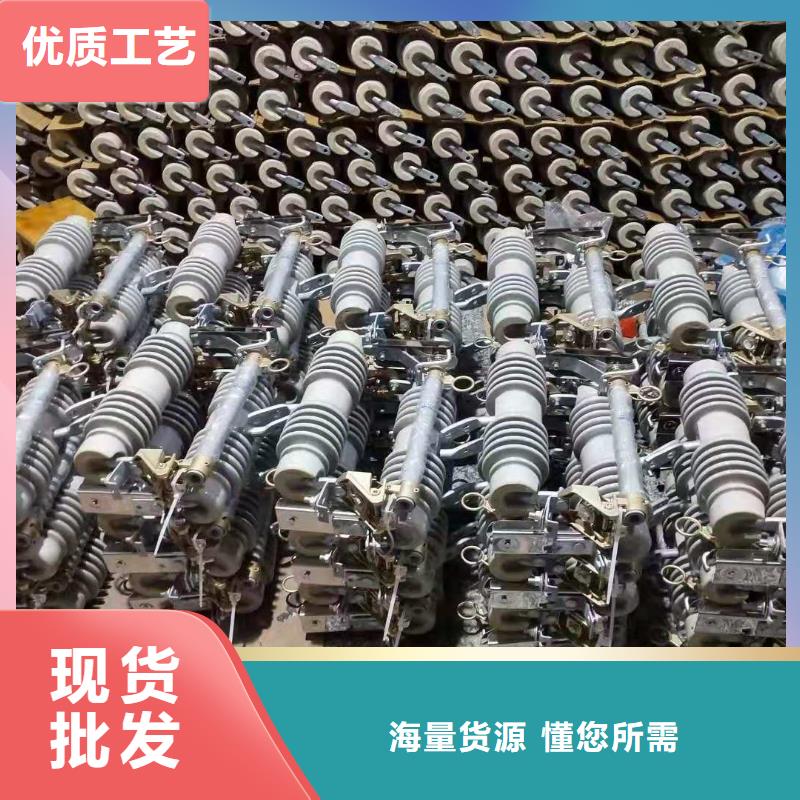 跌落式熔断器【XRNP-10KV高压限流熔断器】精工细致打造