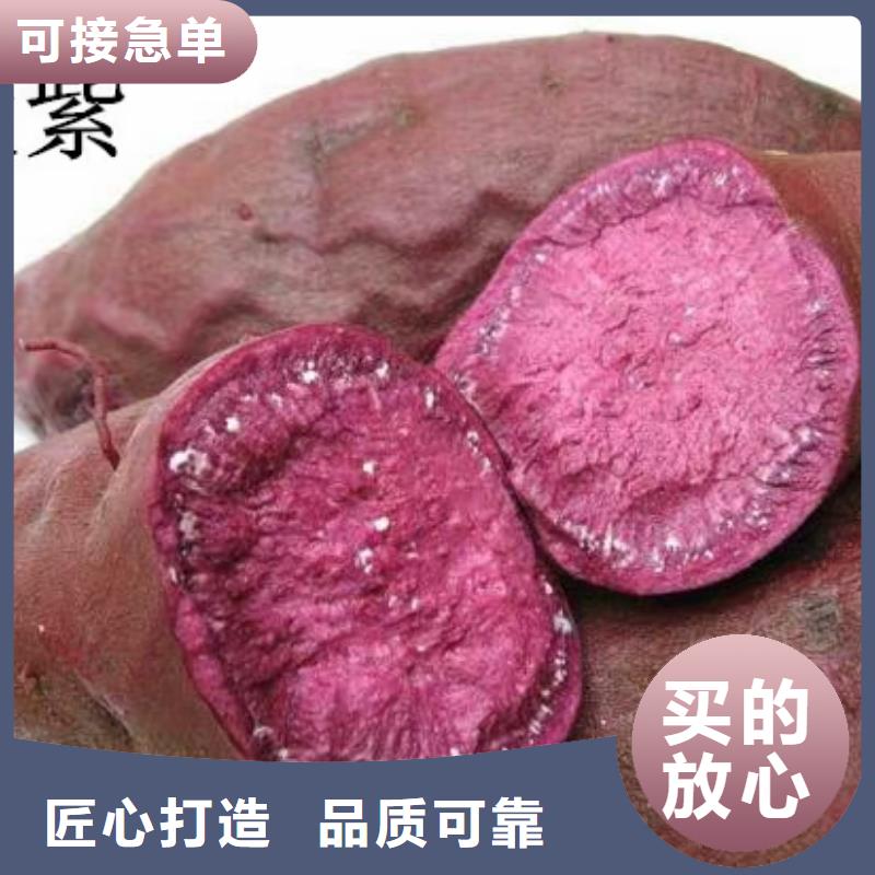 【紫薯苗】红薯粉做工细致