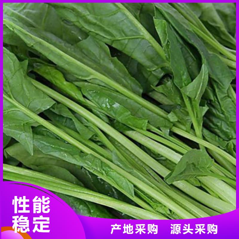 菠菜粉品质保障