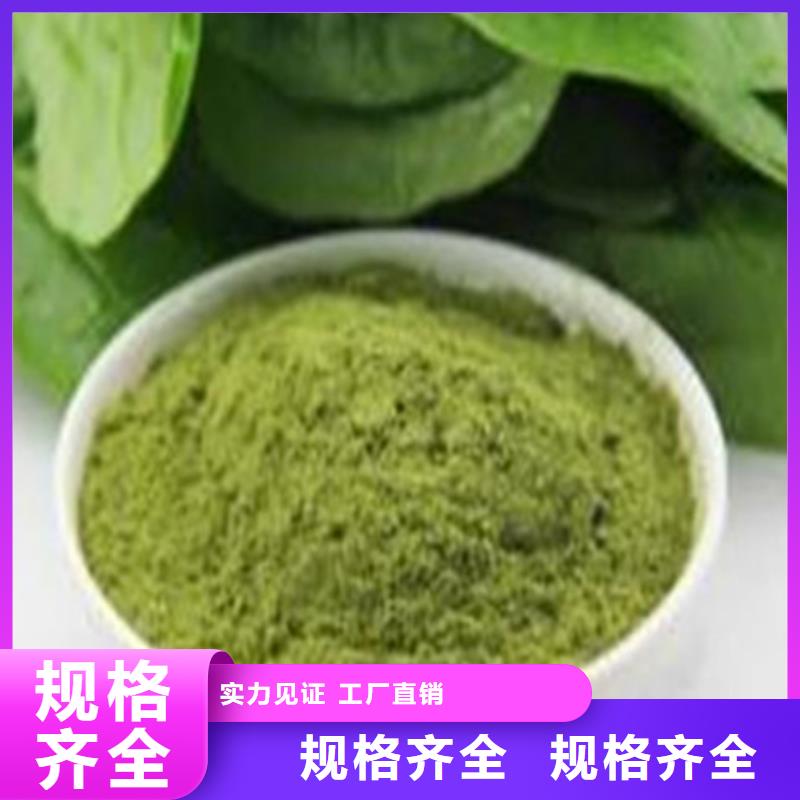 绿色菠菜粉资质全可信赖