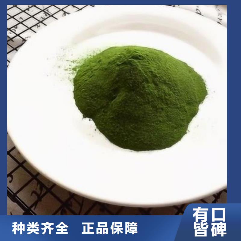 绿色菠菜粉资质全可信赖