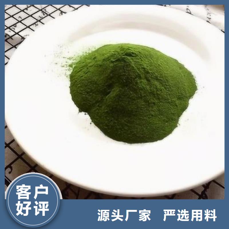 绿色菠菜粉生产厂家_大量现货