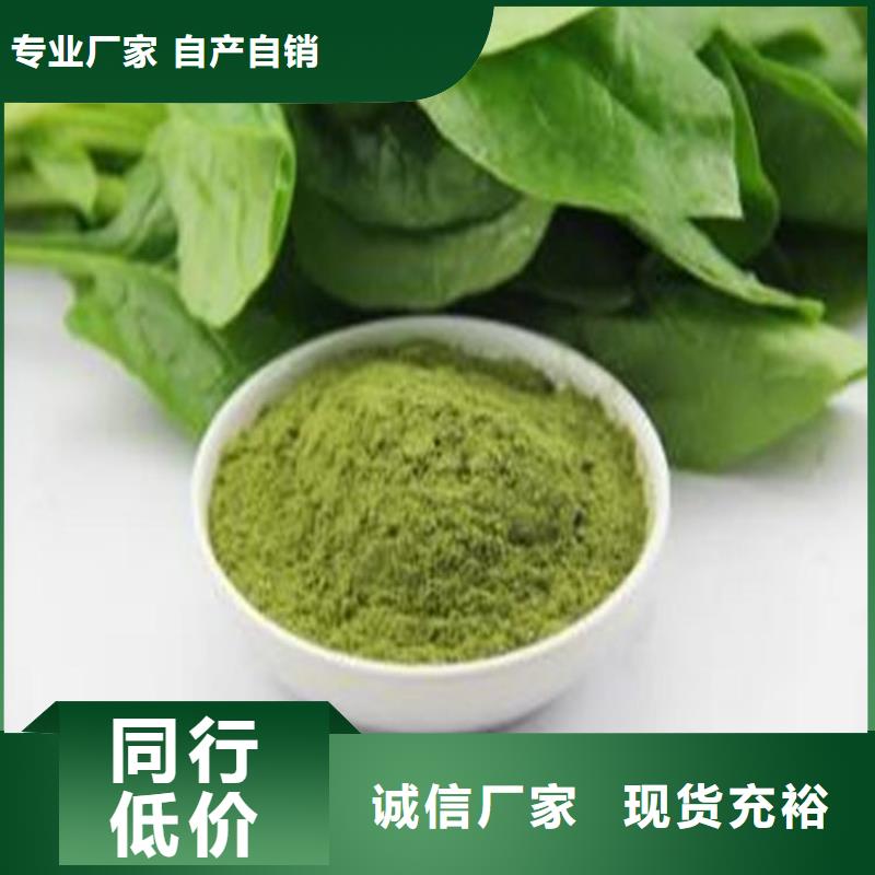 绿色菠菜粉生产厂家_大量现货