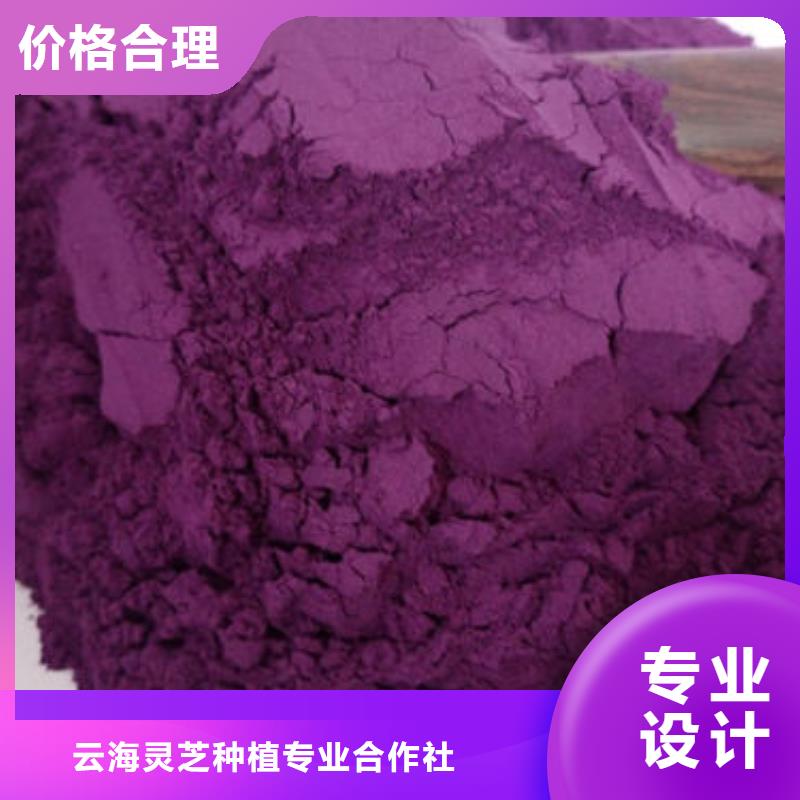 紫薯粉_灵芝专业厂家