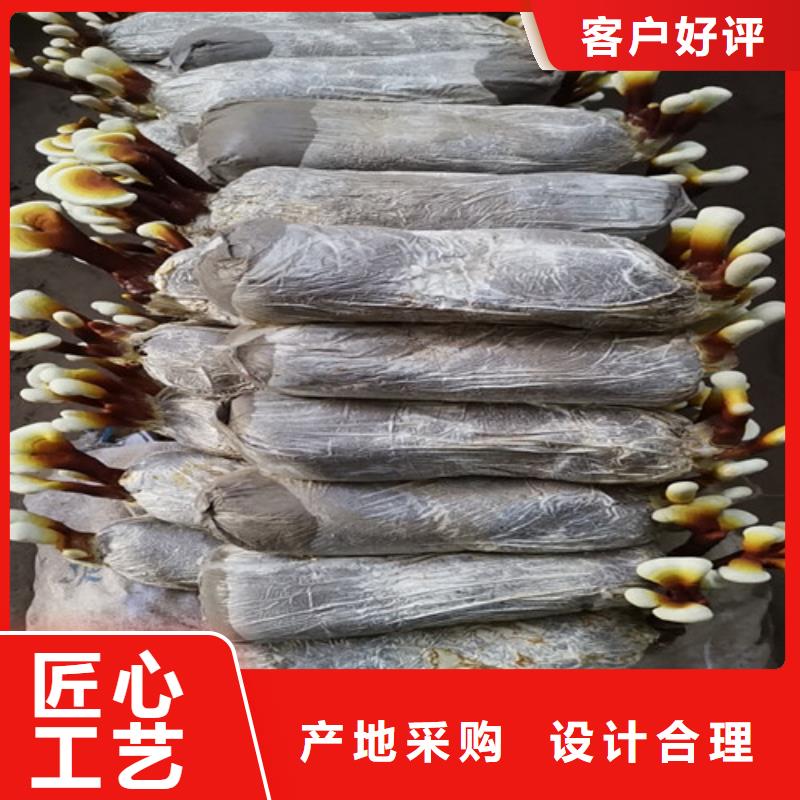 灵芝孢子粉灵芝破壁孢子粉省心又省钱