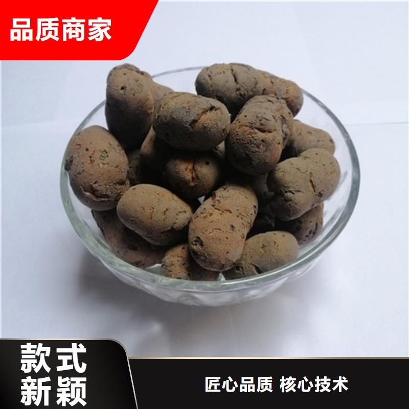 陶粒【粘土生物陶粒滤料】好品质选我们