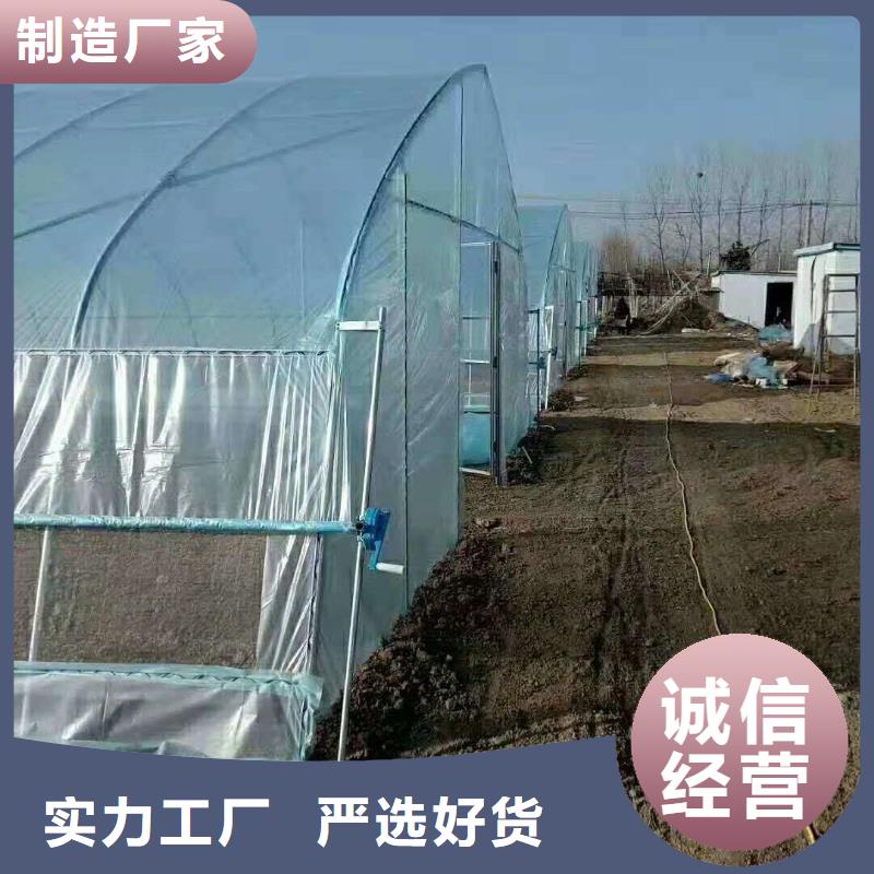 大棚管椭圆管温室大棚定制不额外收费