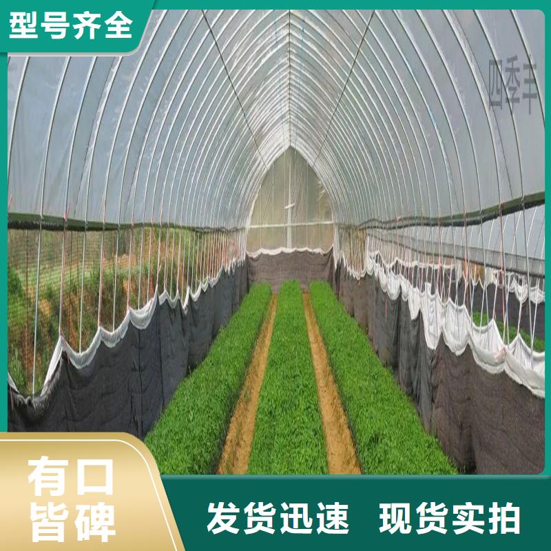 【大棚管2,连体大棚细节决定成败】