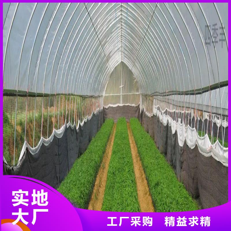 大棚管2连栋大棚管丰富的行业经验