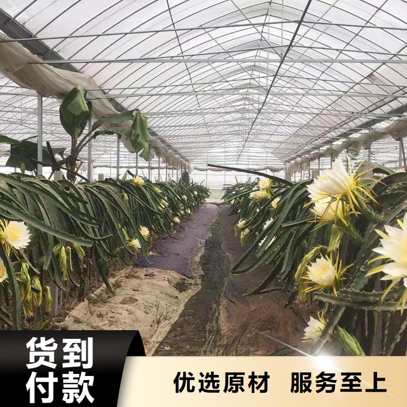 大棚管_【
蔬菜温室大棚管】信誉有保证