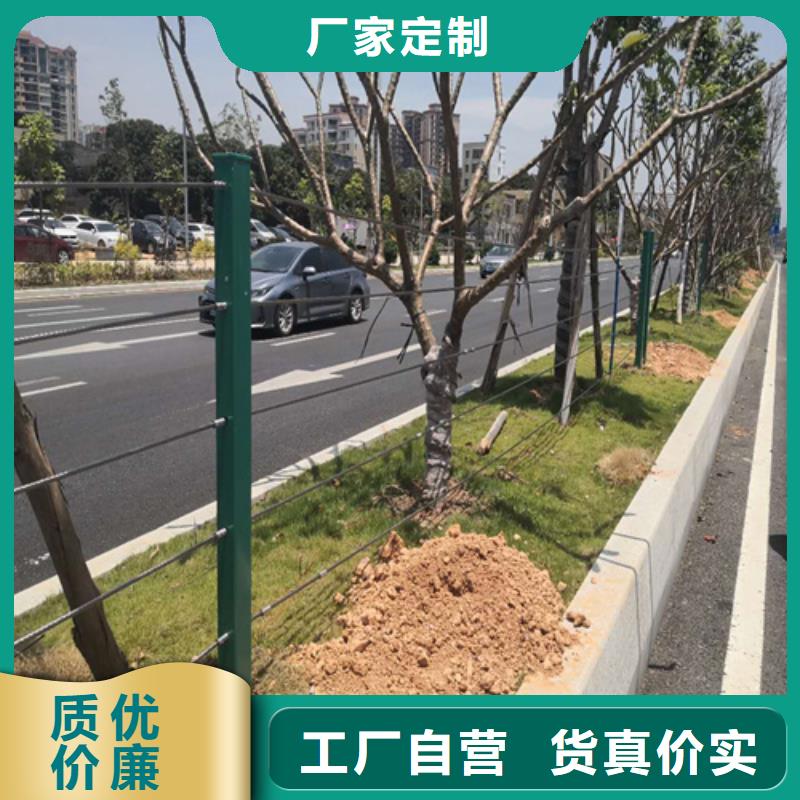 河道景观护栏厂家直销-发货及时