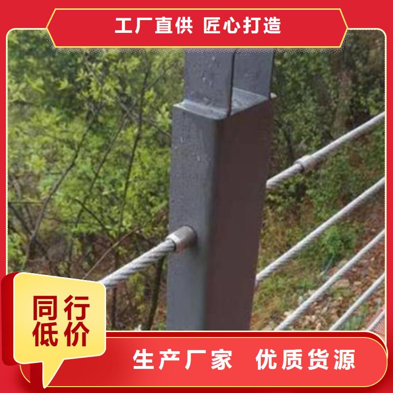 定做河道防护景区绳索护栏的销售厂家