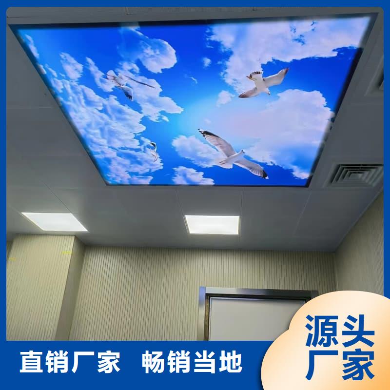 供应批发铅门防护工程改造-价格优惠