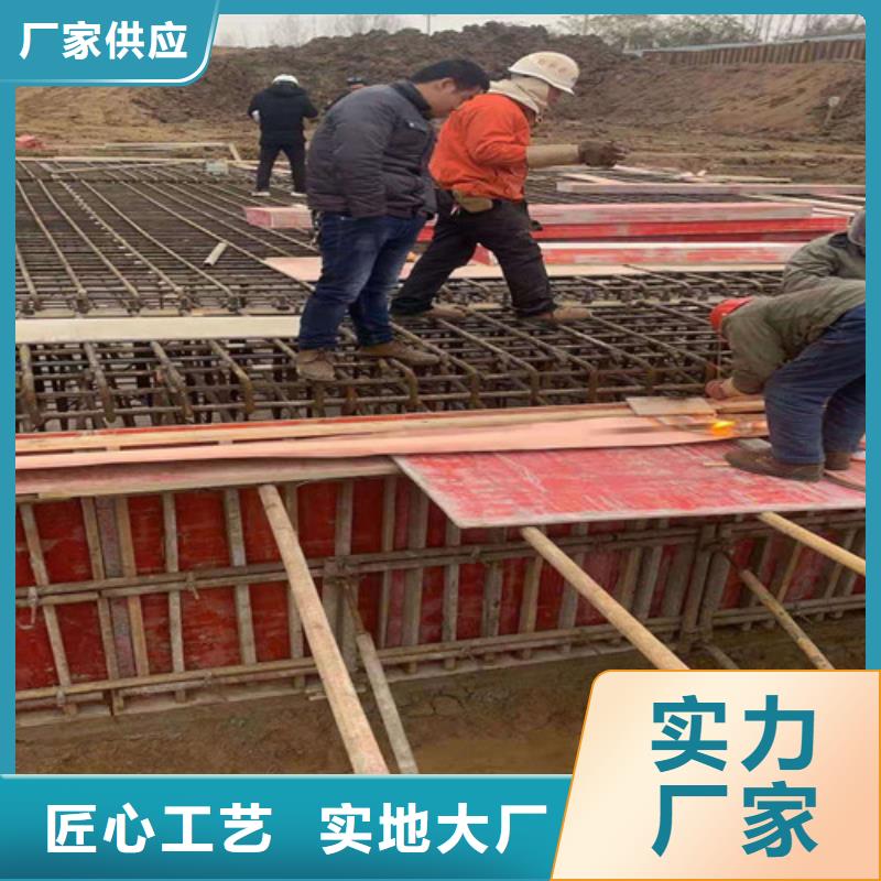 铜排铜片双向塑料土工格栅优质原料