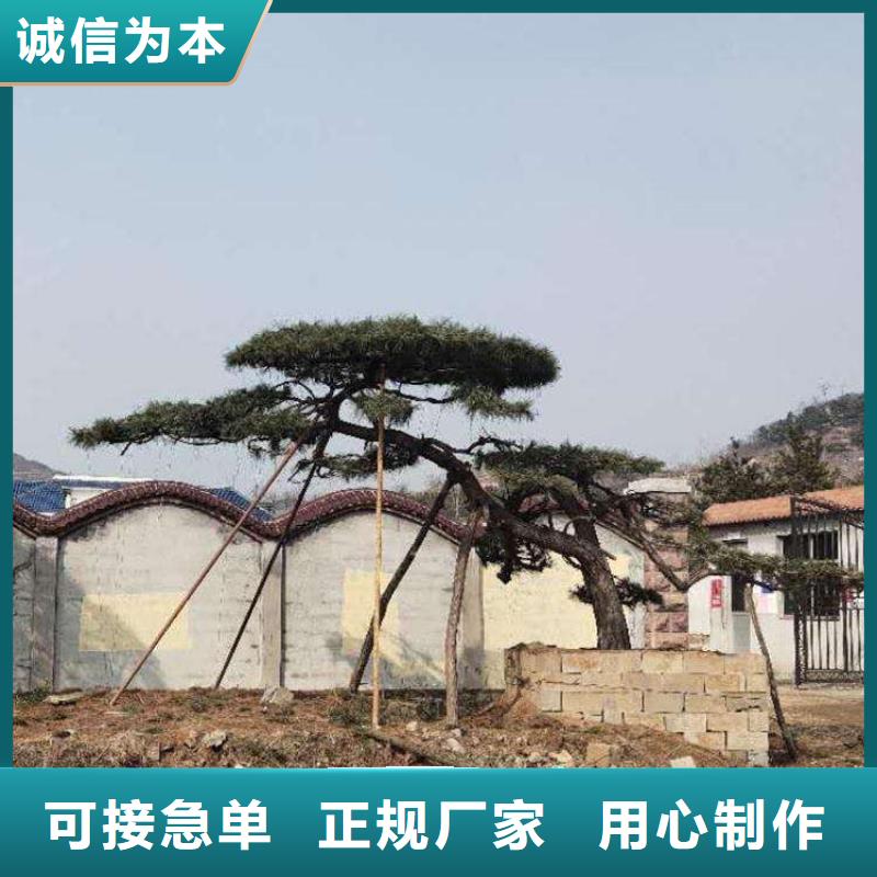 造型松古桩厂家直营