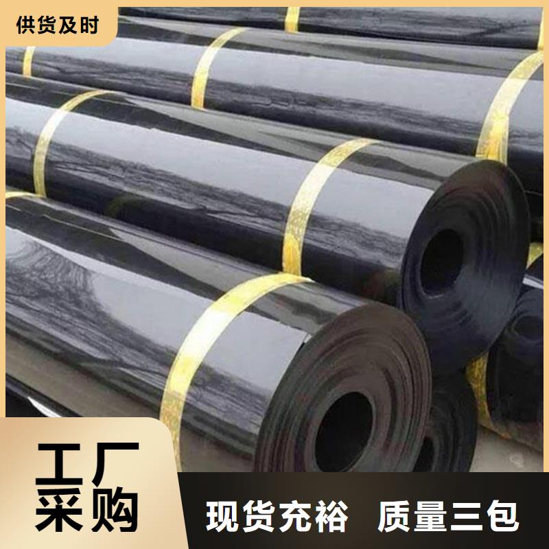 【土工膜】三维复合排水网无中间商厂家直销