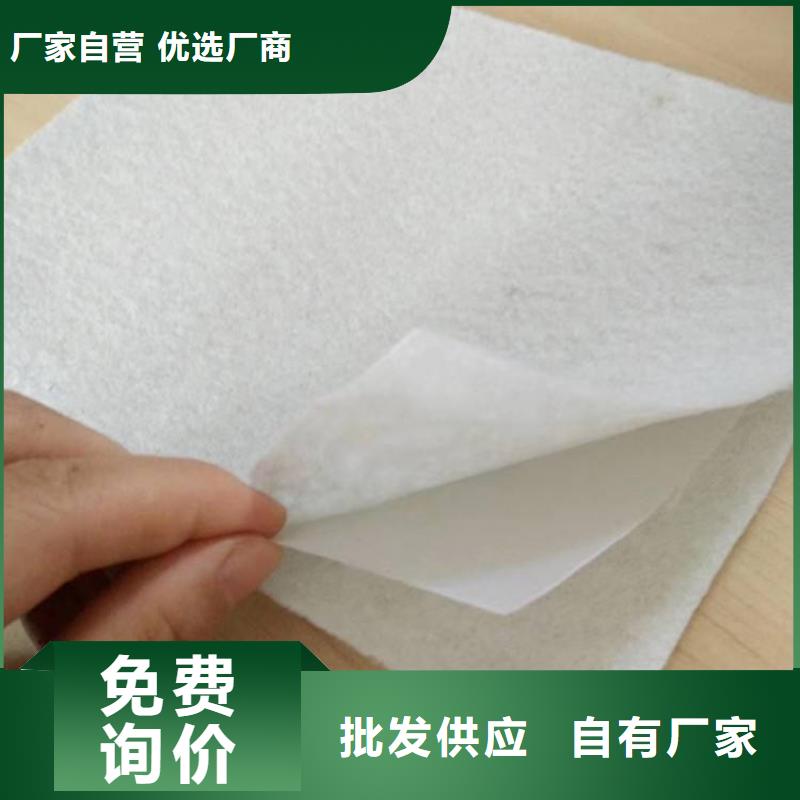 复合土工膜土工滤网厂家直销大量现货