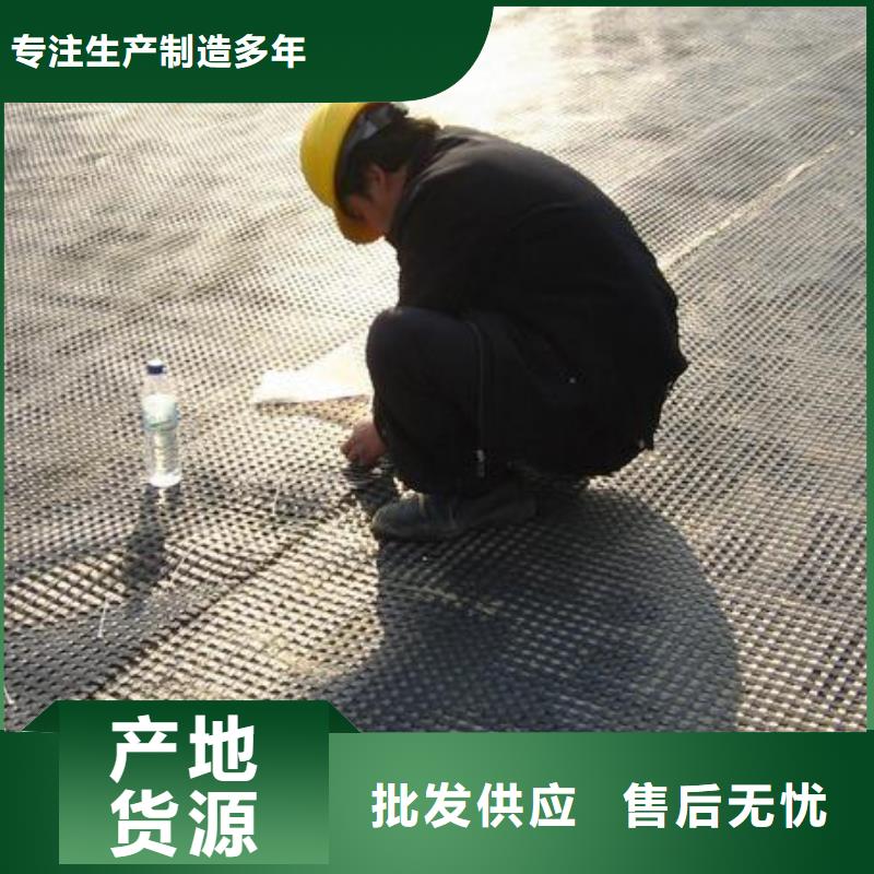 【涤纶土工格栅三维土工网垫货到付款】