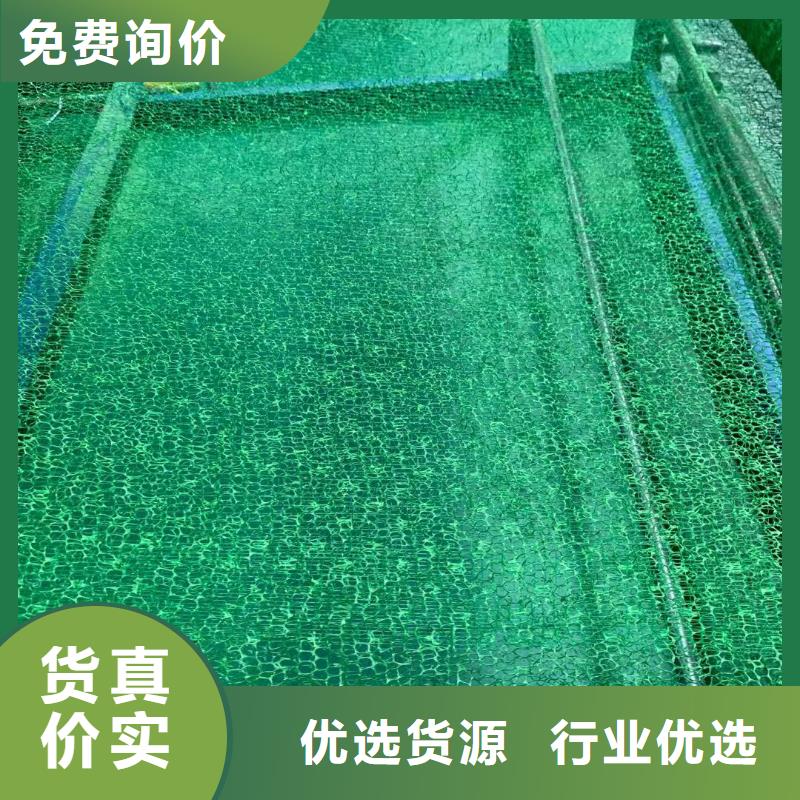 【三维植被网】玻纤土工格栅实力派厂家