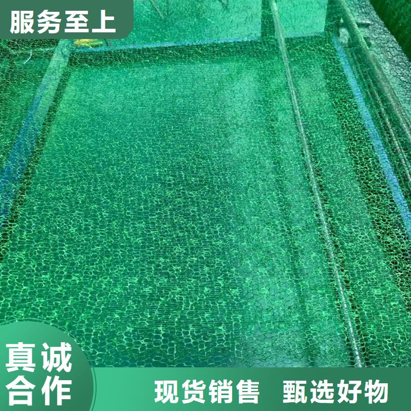 三维植被网【双向塑料土工格栅】敢与同行比服务