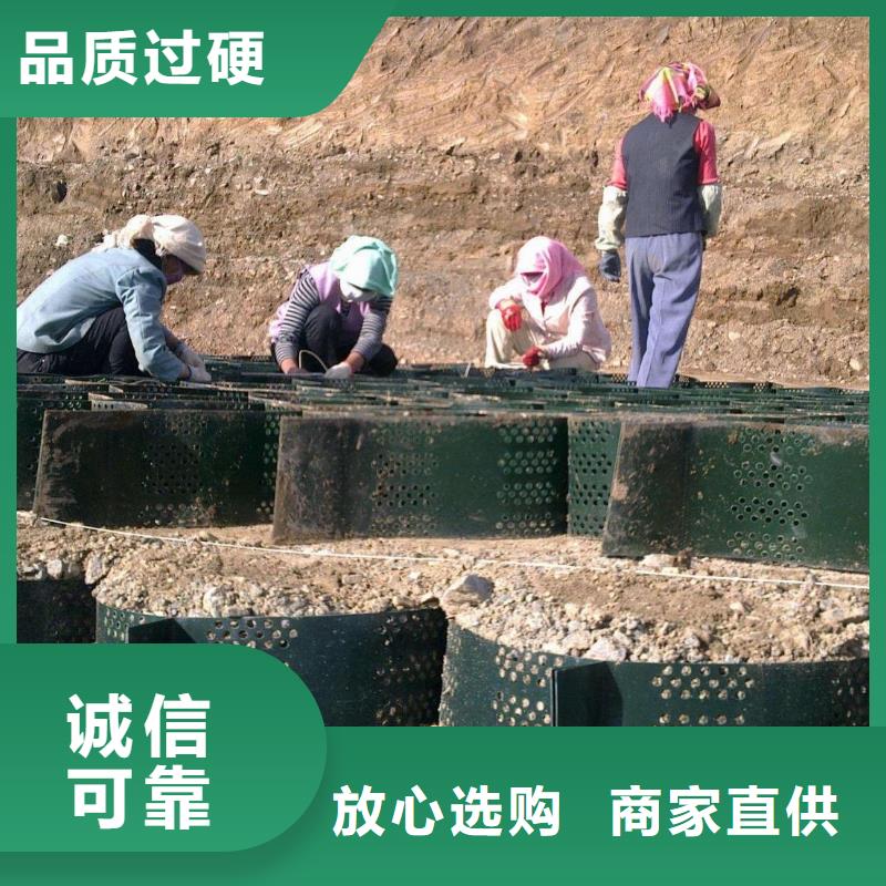 土工格室双向塑料土工格栅产地采购