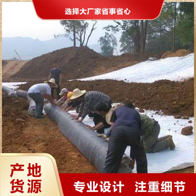 【膨润土防水毯复合土工膜颜色尺寸款式定制】