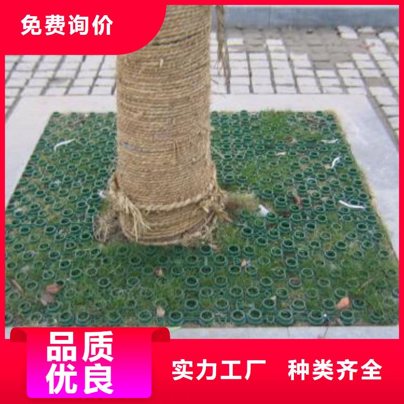 植草格【复合土工膜】匠心制造